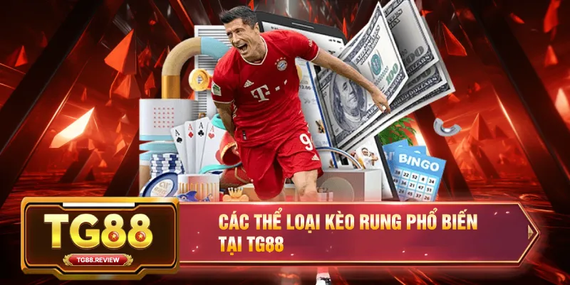 Các Thể Loại Kèo Rung Phổ Biến Tại TG88